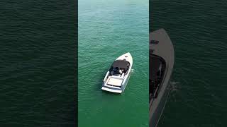 Vandutch 40 on Miami bay