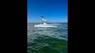 2024 Contender 39 ST Chasin Tail